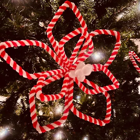 Voglia 'e Turnà Affittacamere Napoli