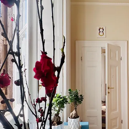 Voglia 'e Turnà Affittacamere Napoli